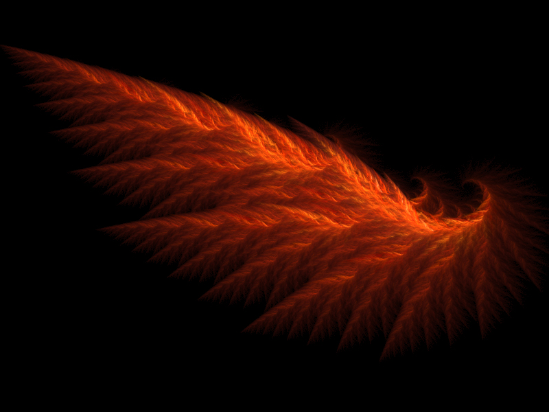 Dark Wing Fractal