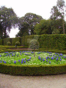 guides in the garden