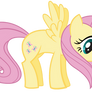 Fluttershy and Angel