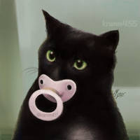 Meme cat with pacifier by Ksenia455