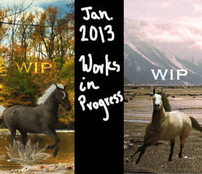 January 2013 Works in Progress