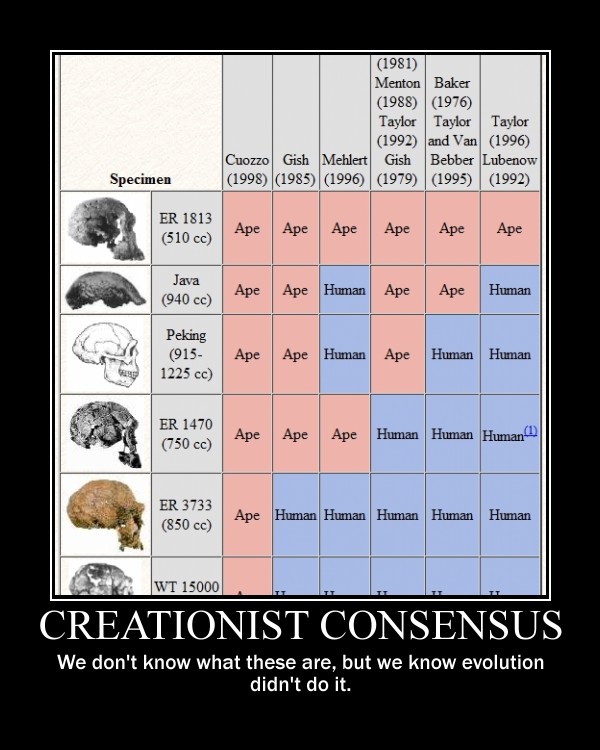 Creationist Demotivator