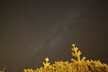 Milky Way Fuerteventura