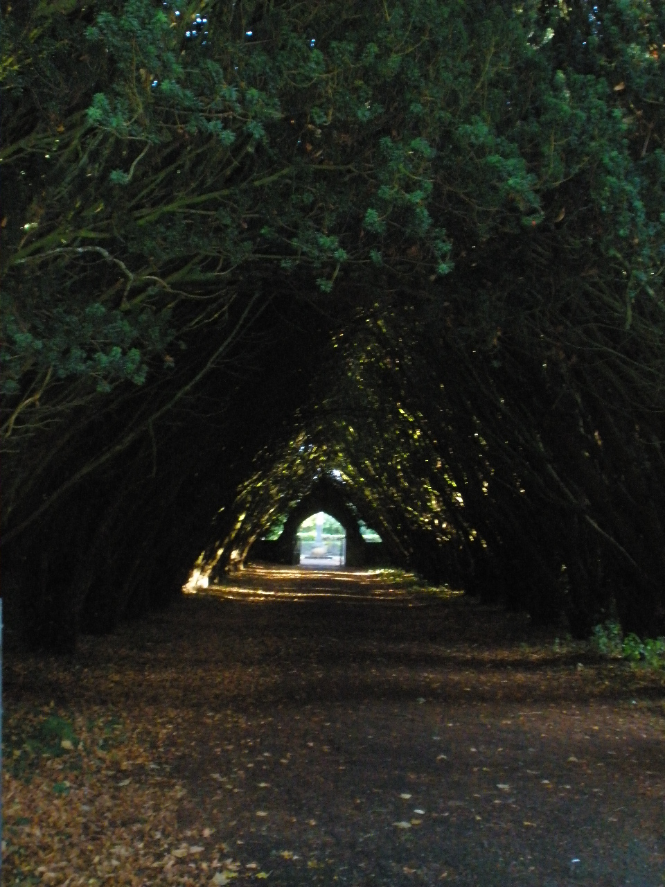 Path to the Cemetery.