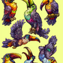 Toucan rainbow