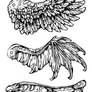 Wings
