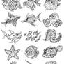 Aquatic Creatures