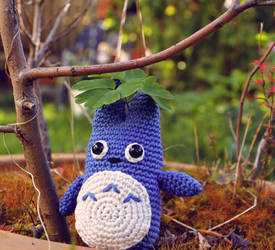 Blue Totoro 3