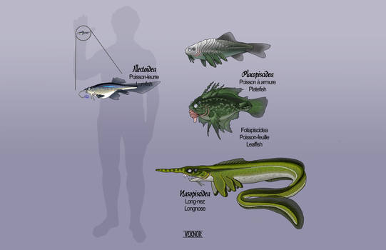 Blob fish evolution by sheepietown on DeviantArt