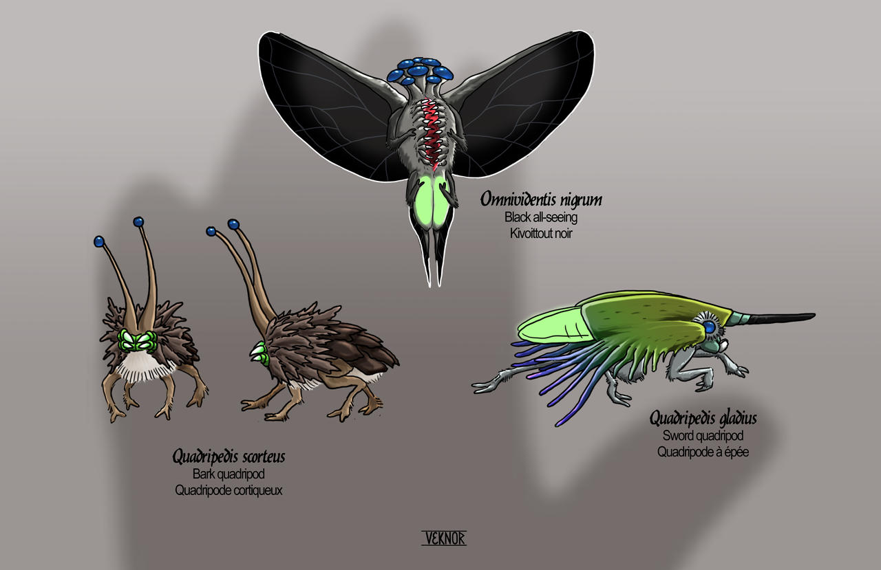 Future Invertabrates Invertebrate by Species-of-Vekia on DeviantArt