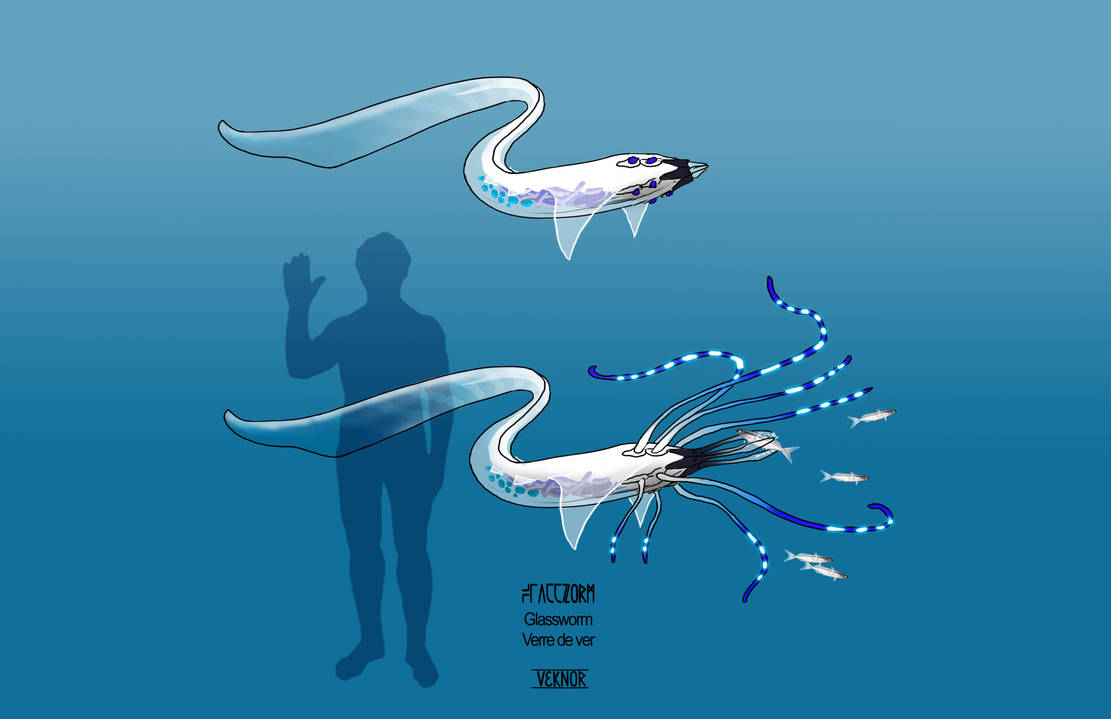 Glassworm by Species-of-Vekia on DeviantArt