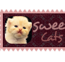 Sweet Cats