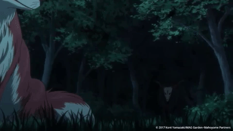 Ancient Magus: The Ancient Magus' Bride Vol. 9
