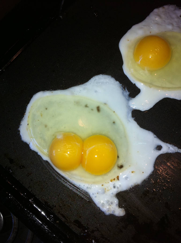 Mutant Egg by Chrissyfunnybunny on DeviantArt