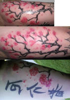 Cherry blossom and Kanji