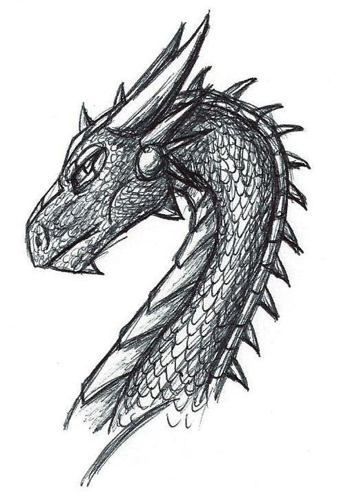Serious dragon by Hatchy-Bridy on DeviantArt