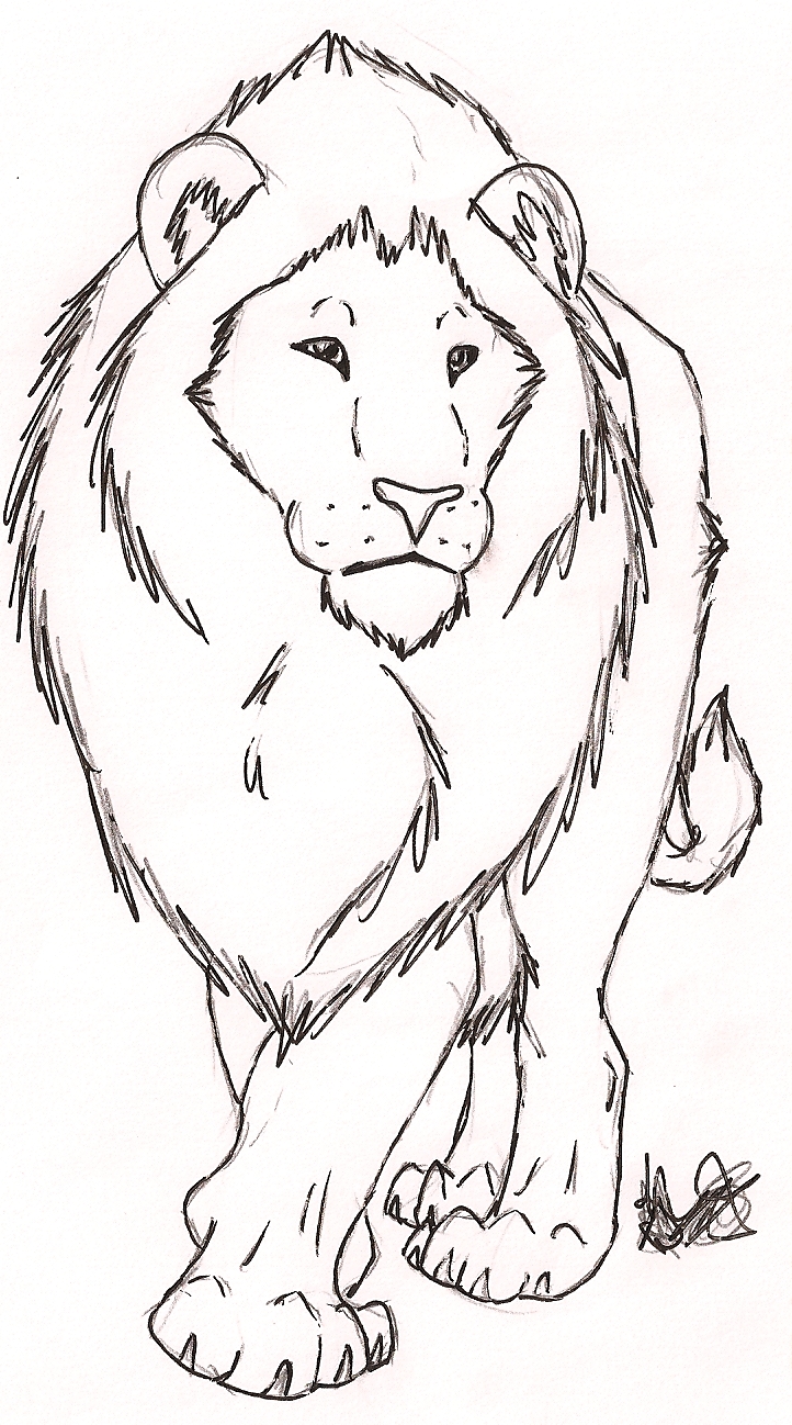 Free Lion Sketch by Rurouna