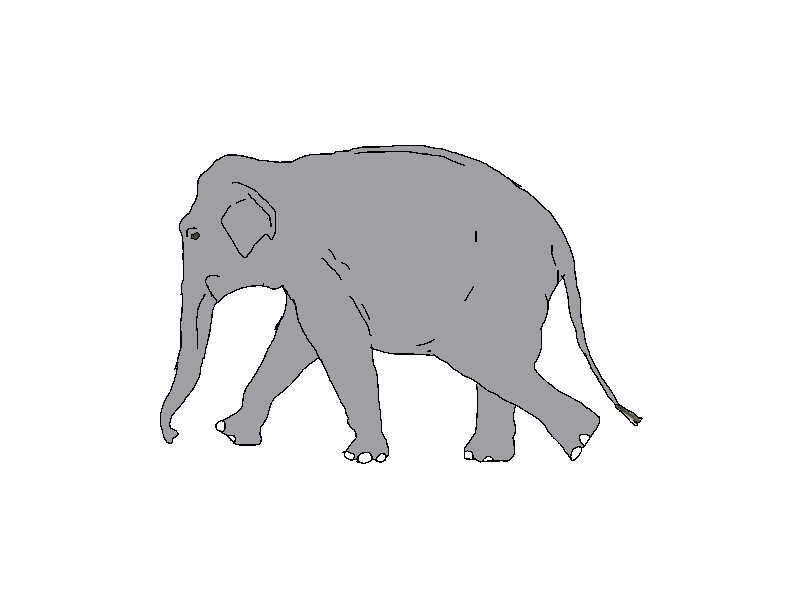 Asian Elephant Run Animation by Jordaloon on DeviantArt