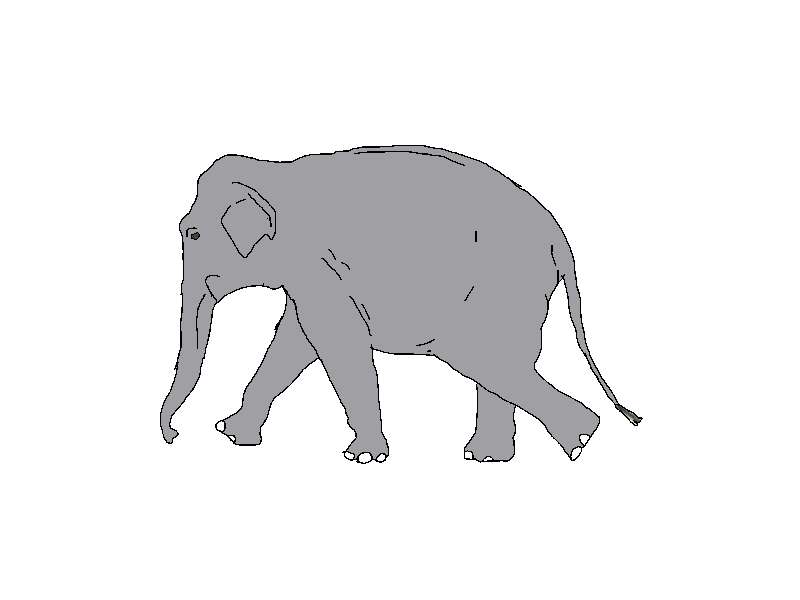 Asian Elephant Run Animation by CelestialSketch on DeviantArt