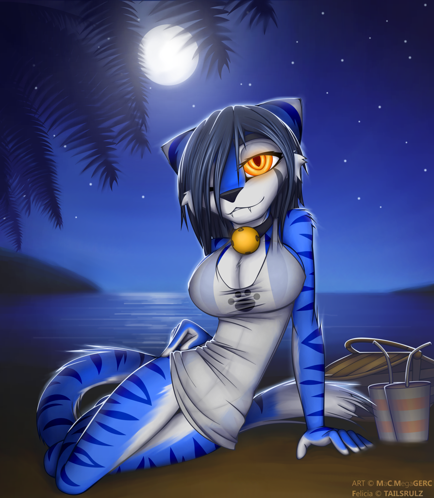 =GIFT= Picnic under the night by McTranceFox