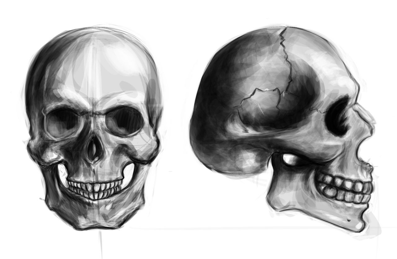 Skulls