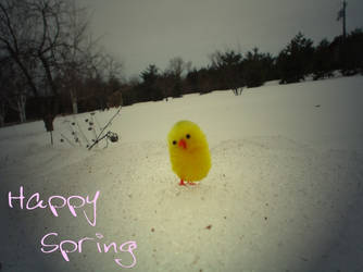 Happy Spring - Easter