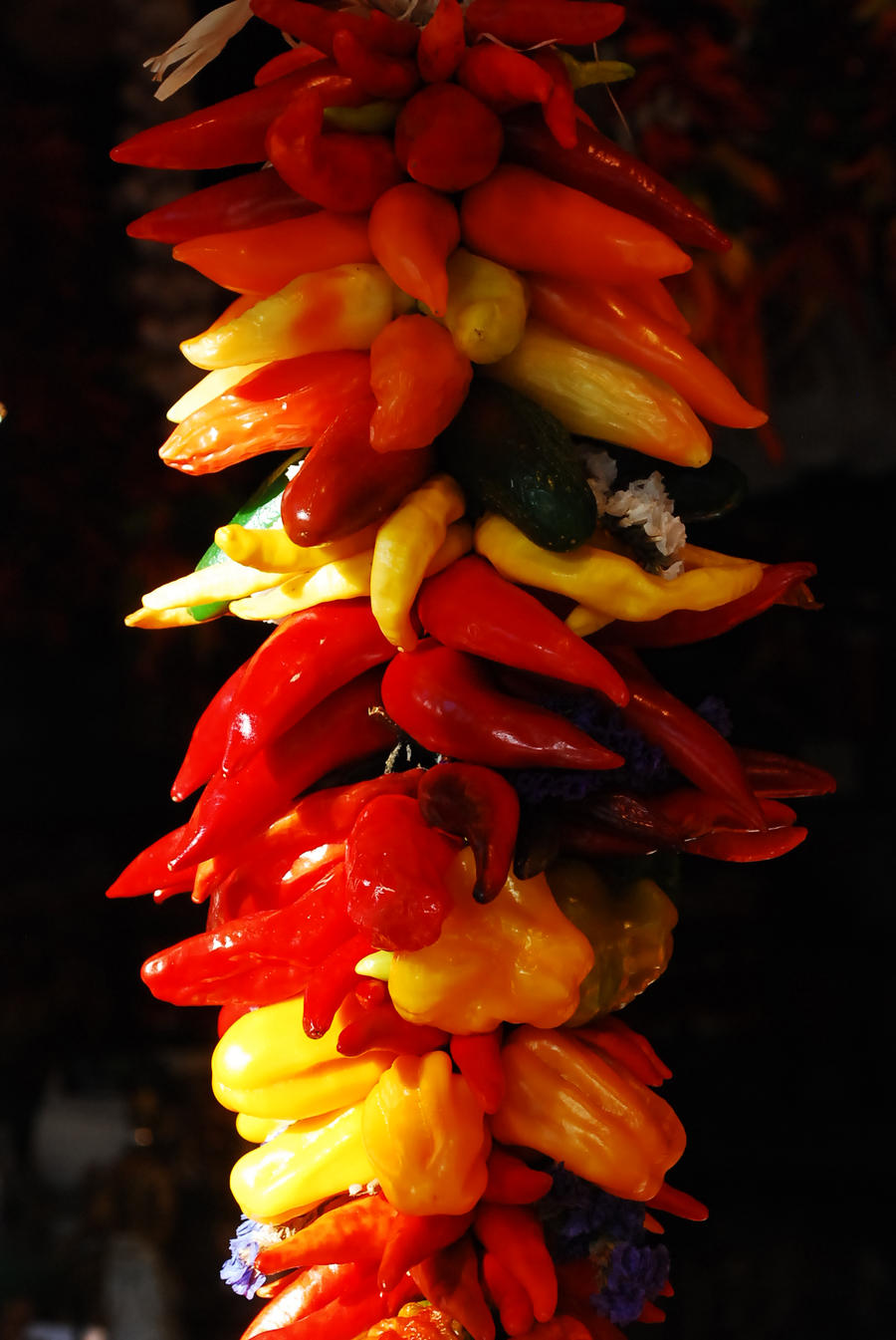 Hanging Peppers