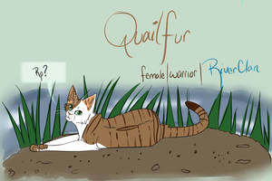 Quailfur RP Tracker