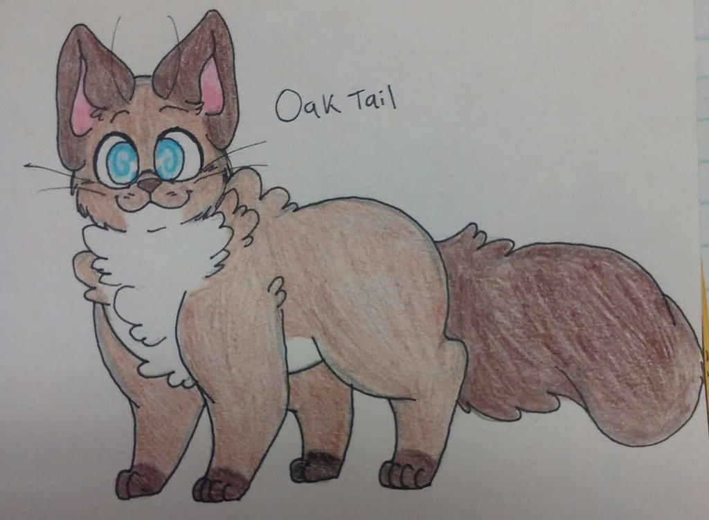 Oaktail (Warrior Cat 2) - Images 