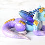 Blue, Purple and Gold Fairy Dragon