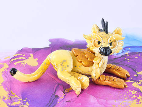 Fierce Cheetah Griffin