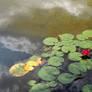 Reflective pond