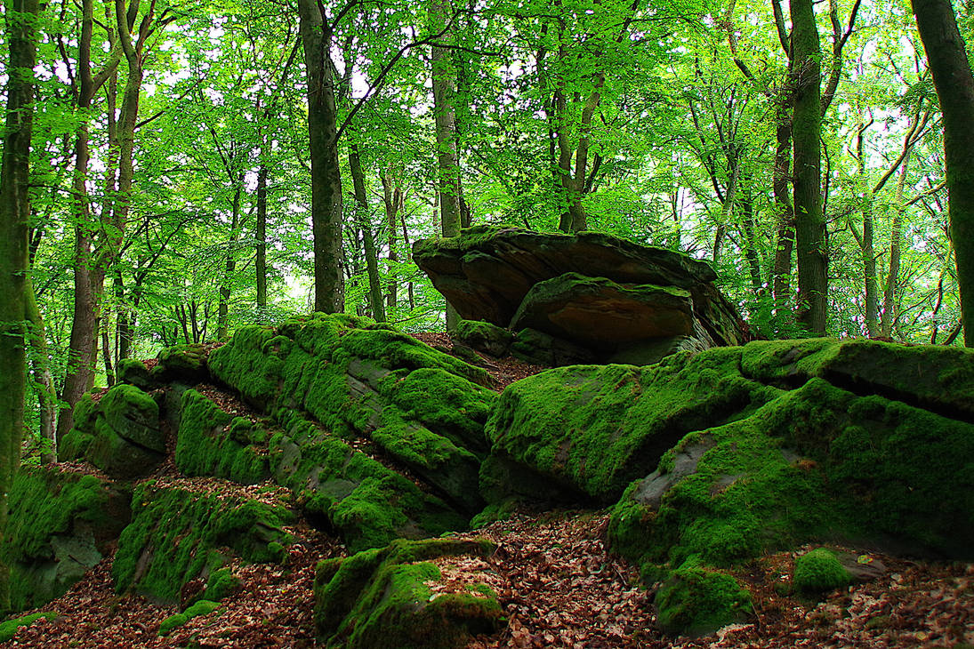 Greem Rocks Green rocks by irrlicht71 on DeviantArt