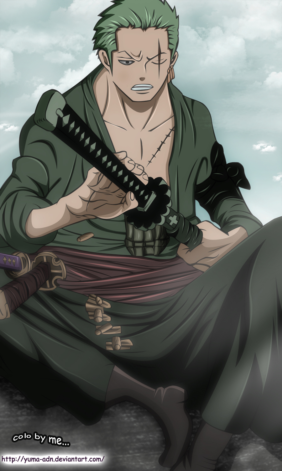 one piece 599: zoro new style