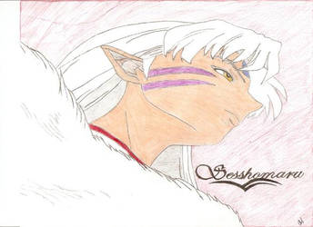 Sesshomaru Staring Into Space