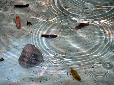 water rings