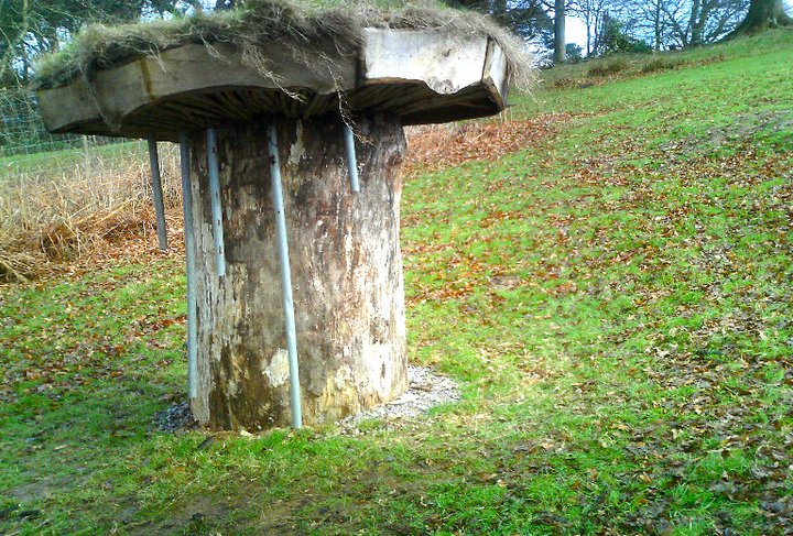 mushroom statue