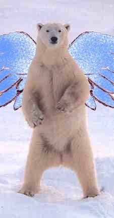 polar angel