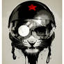 Eye of the Tiger