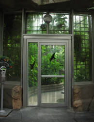 Aviary Door