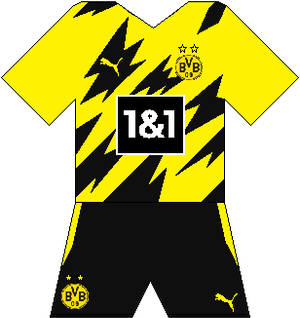 Borussia Dortmund ( Home 2020-21 )