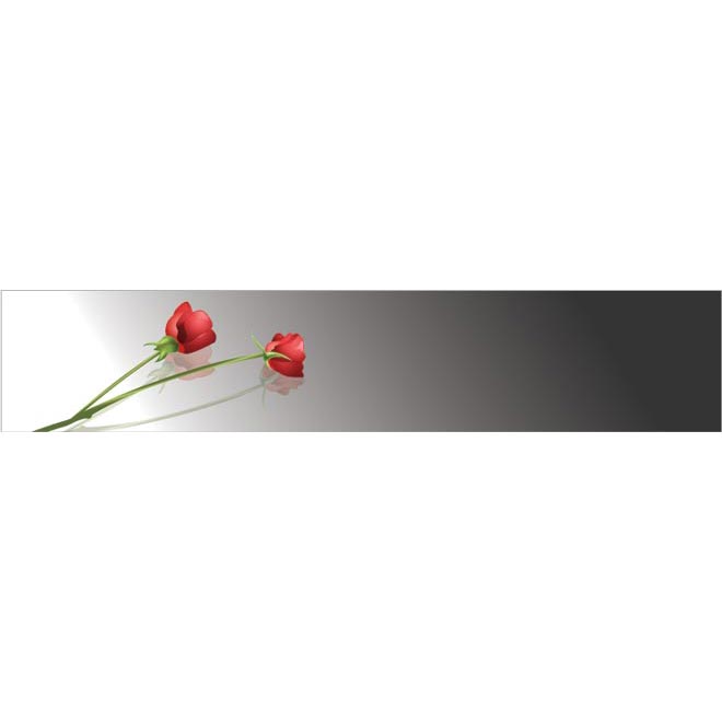 beautiful pear glossy red rose reflecting vector