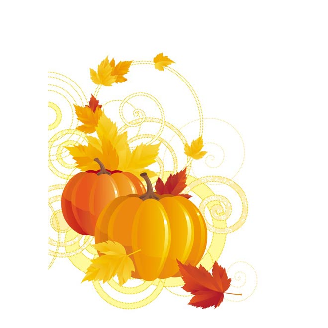 Beautiful Floral art with Pumpkins and leaf Vector