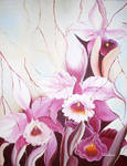 Rose Orchids by artedafefe