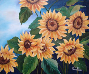 Sunflowers