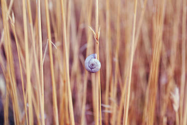 break-your-brain - Hobbyist, Photographer | DeviantArt