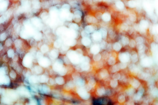 Winter bokeh