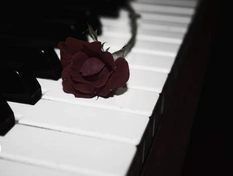 A Rose on the Keys