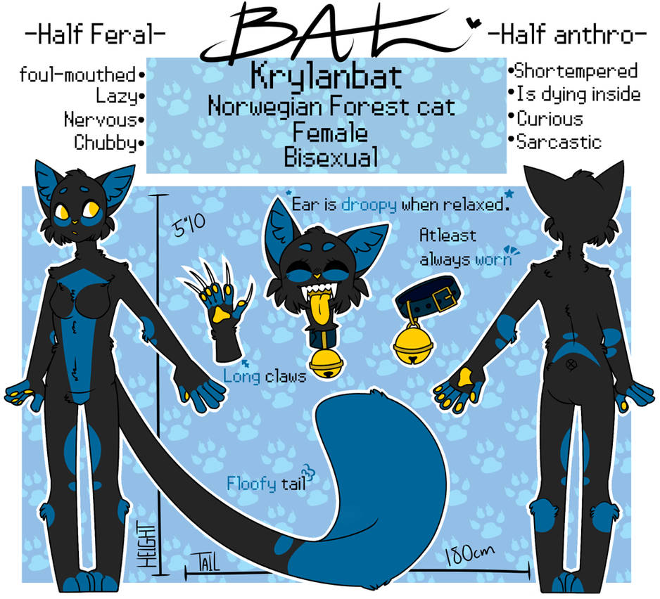 Fursona Reference Sheet 2017 Bat by UnluckyKatt on DeviantArt