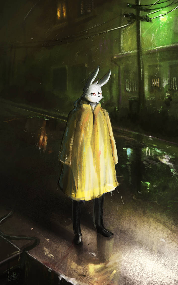 Raincoat Rabbit Raincoat Rabbit by TomTC on DeviantArt